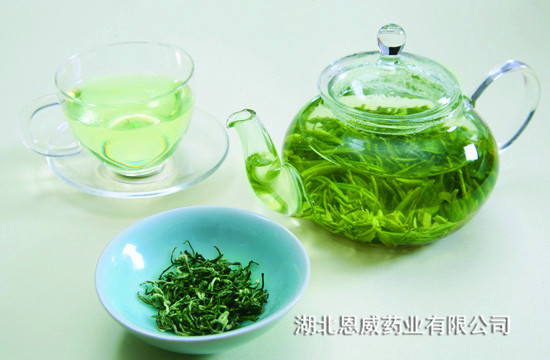 妈咪娃娃：绿茶最强抗氧化，胃差应少饮绿茶